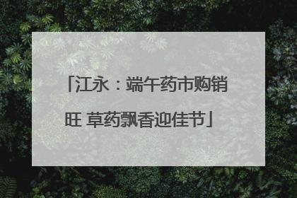 江永：端午药市购销旺 草药飘香迎佳节