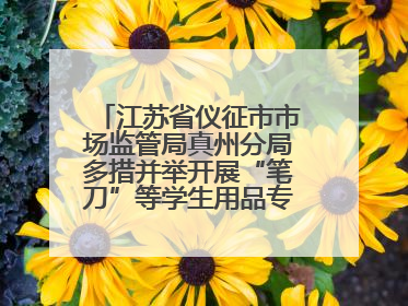 江苏省仪征市市场监管局真州分局多措并举开展“笔刀”等学生用品专项检查