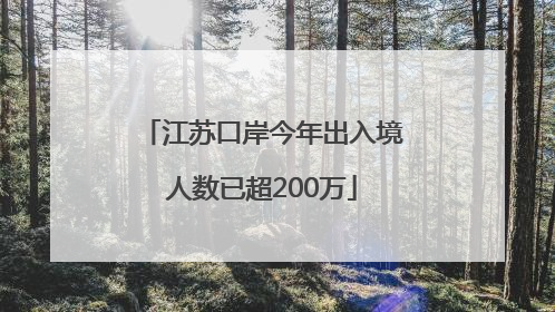 江苏口岸今年出入境人数已超200万