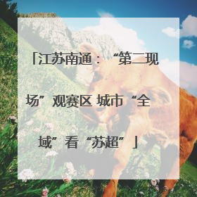 江苏南通：“第二现场”观赛区 城市“全域”看“苏超”