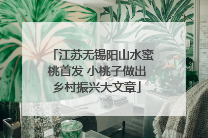 江苏无锡阳山水蜜桃首发 小桃子做出乡村振兴大文章
