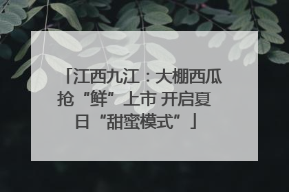 江西九江：大棚西瓜抢“鲜”上市 开启夏日“甜蜜模式”