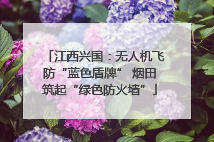 江西兴国：无人机飞防“蓝色盾牌” 烟田筑起“绿色防火墙”