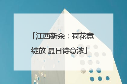 江西新余：荷花竞绽放 夏日诗意浓