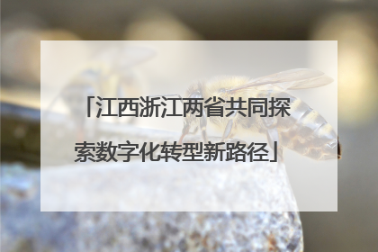 江西浙江两省共同探索数字化转型新路径