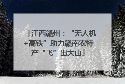 江西赣州：“无人机+高铁”助力赣南农特产“飞”出大山