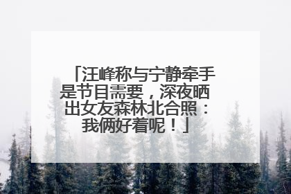 汪峰称与宁静牵手是节目需要，深夜晒出女友森林北合照：我俩好着呢！