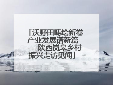 沃野田畴绘新卷 产业发展谱新篇——陕西岚皋乡村振兴走访见闻