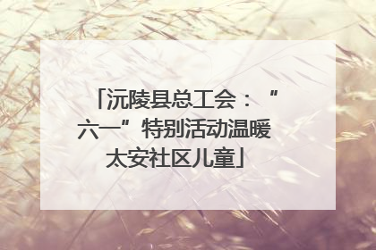 沅陵县总工会：“六一”特别活动温暖太安社区儿童