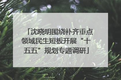 沈晓明围绕补齐重点领域民生短板开展“十五五”规划专题调研