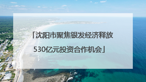 沈阳市聚焦银发经济释放530亿元投资合作机会