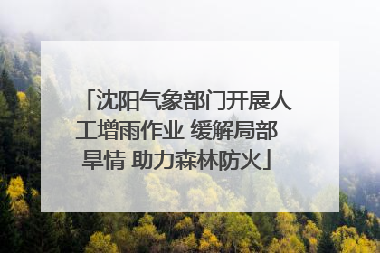 沈阳气象部门开展人工增雨作业 缓解局部旱情 助力森林防火