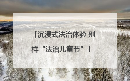 沉浸式法治体验 别样“法治儿童节”