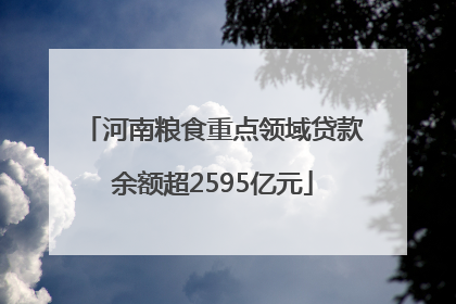 河南粮食重点领域贷款余额超2595亿元