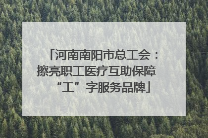 河南南阳市总工会：擦亮职工医疗互助保障“工”字服务品牌