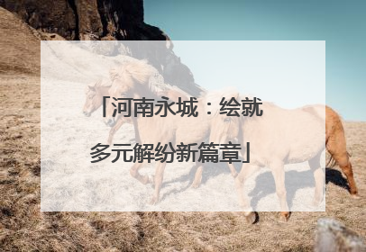 河南永城：绘就多元解纷新篇章