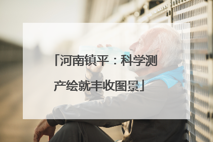 河南镇平：科学测产绘就丰收图景