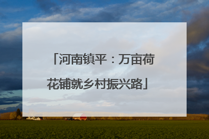河南镇平：万亩荷花铺就乡村振兴路