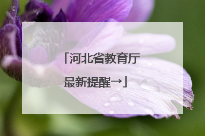 河北省教育厅最新提醒→
