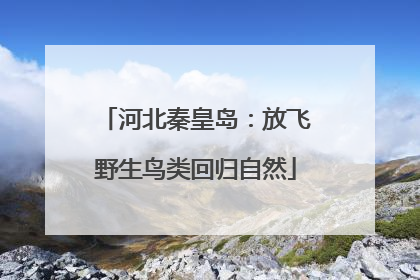 河北秦皇岛：放飞野生鸟类回归自然