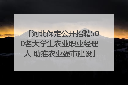 河北保定公开招聘500名大学生农业职业经理人 助推农业强市建设