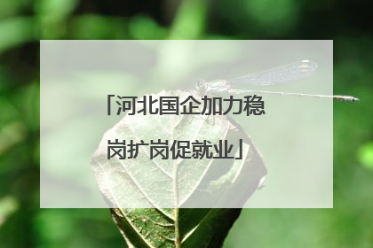 河北国企加力稳岗扩岗促就业