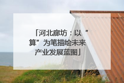 河北廊坊：以“算”为笔描绘未来产业发展蓝图