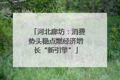 河北廊坊：消费势头稳点燃经济增长“新引擎”