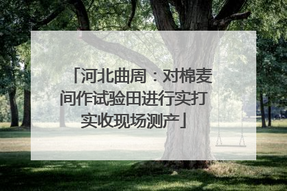 河北曲周：对棉麦间作试验田进行实打实收现场测产