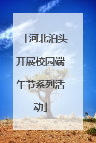 河北泊头开展校园端午节系列活动