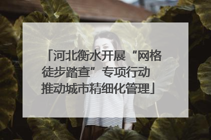 河北衡水开展“网格徒步踏查”专项行动 推动城市精细化管理