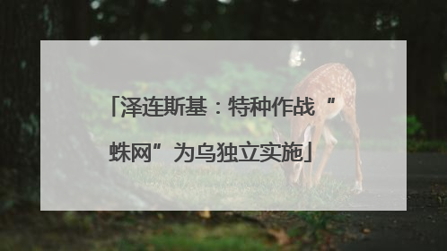 泽连斯基：特种作战“蛛网”为乌独立实施