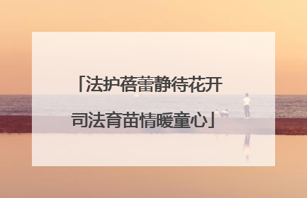 法护蓓蕾静待花开 司法育苗情暖童心