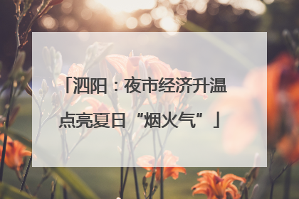 泗阳：夜市经济升温 点亮夏日“烟火气”