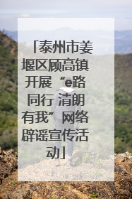 泰州市姜堰区顾高镇开展“e路同行 清朗有我”网络辟谣宣传活动