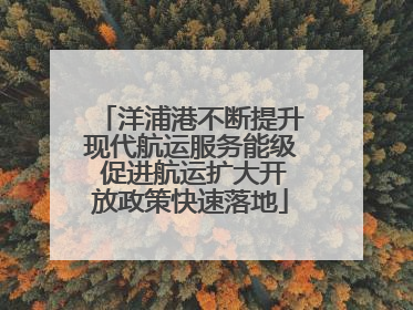 洋浦港不断提升现代航运服务能级 促进航运扩大开放政策快速落地