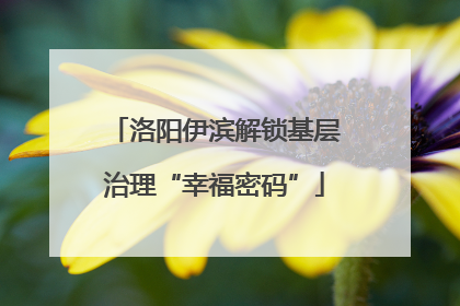 洛阳伊滨解锁基层治理“幸福密码”