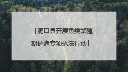 洞口县开展鱼类繁殖期护渔专项执法行动