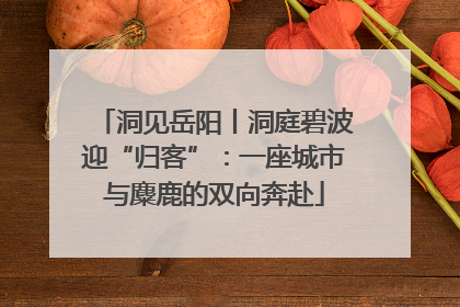 洞见岳阳丨洞庭碧波迎“归客”：一座城市与麋鹿的双向奔赴