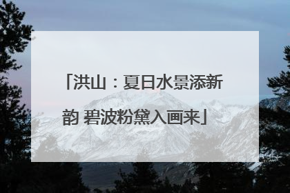洪山：夏日水景添新韵 碧波粉黛入画来