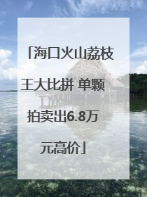 海口火山荔枝王大比拼 单颗拍卖出6.8万元高价