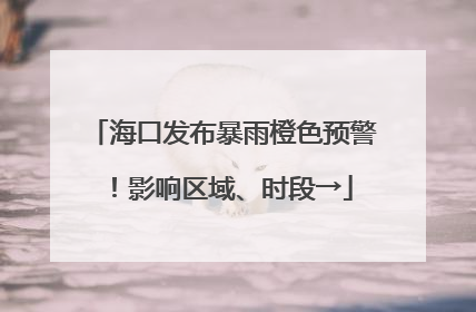 海口发布暴雨橙色预警！影响区域、时段→