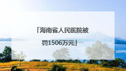 海南省人民医院被罚1506万元