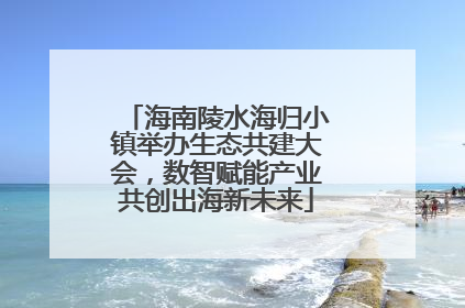 海南陵水海归小镇举办生态共建大会，数智赋能产业共创出海新未来