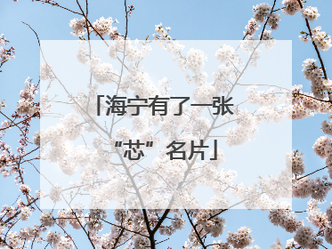 海宁有了一张“芯”名片