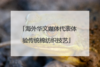 海外华文媒体代表体验传统棉纺织技艺