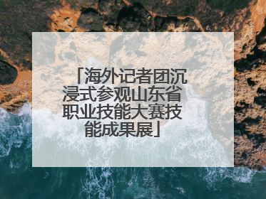 海外记者团沉浸式参观山东省职业技能大赛技能成果展