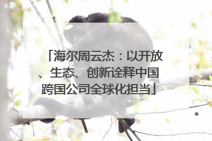 海尔周云杰：以开放、生态、创新诠释中国跨国公司全球化担当