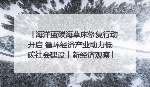 海洋蓝碳海草床修复行动开启 循环经济产业助力低碳社会建设丨新经济观察