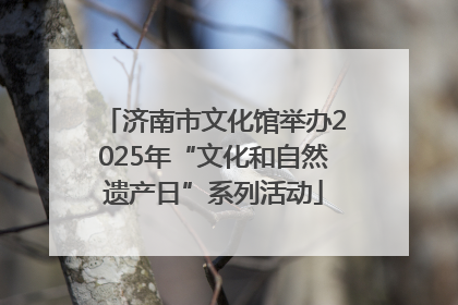 济南市文化馆举办2025年“文化和自然遗产日”系列活动
